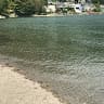 Damandeep Kaur