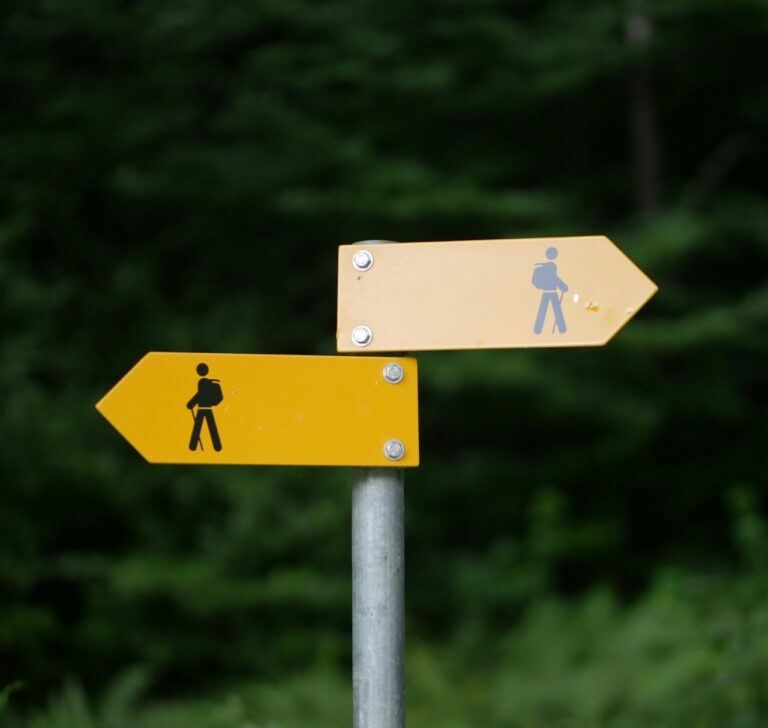 Shift Left Testing in Agile: Strategies That Work